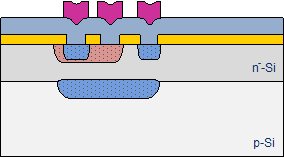 Metallisierung und Fototechnik