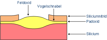 Der Vogelschnabel